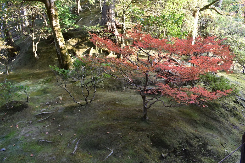 f:id:matsumotoyusuke:20210302143921j:image