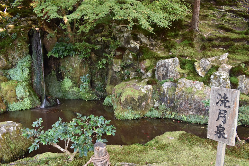 f:id:matsumotoyusuke:20210302143944j:image