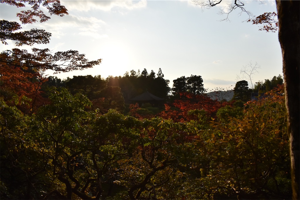 f:id:matsumotoyusuke:20210302144005j:image
