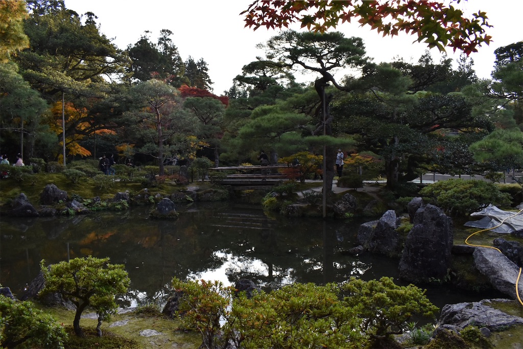 f:id:matsumotoyusuke:20210302144021j:image