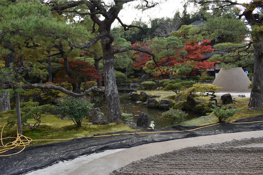 f:id:matsumotoyusuke:20210302144028j:image