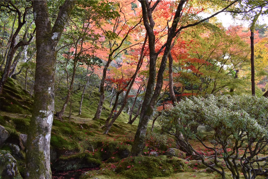 f:id:matsumotoyusuke:20210302144035j:image