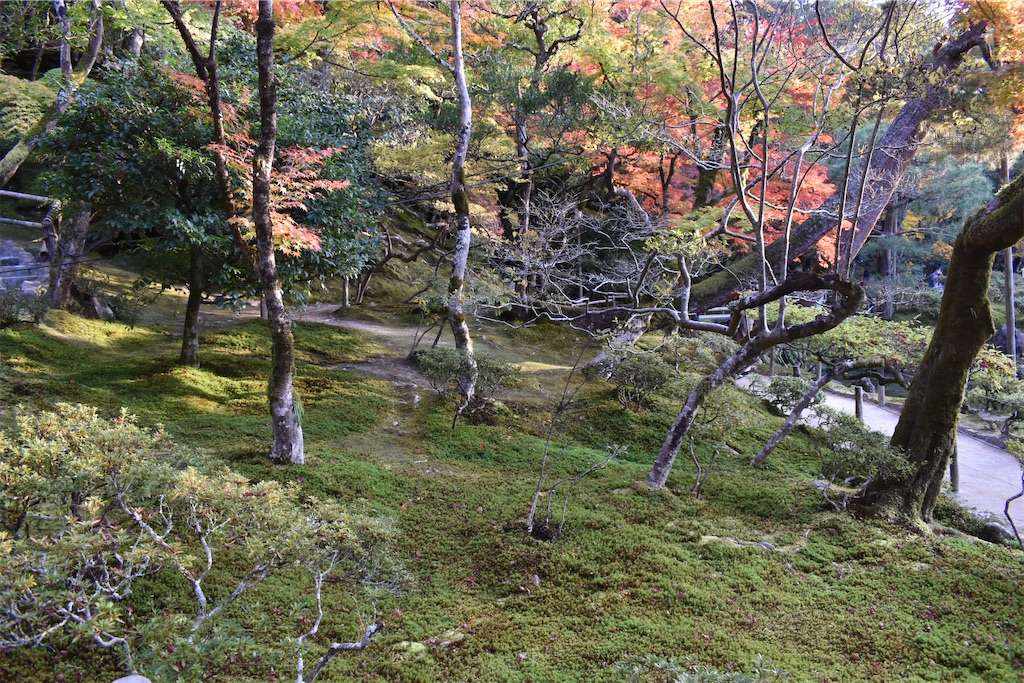 f:id:matsumotoyusuke:20210302144049j:image