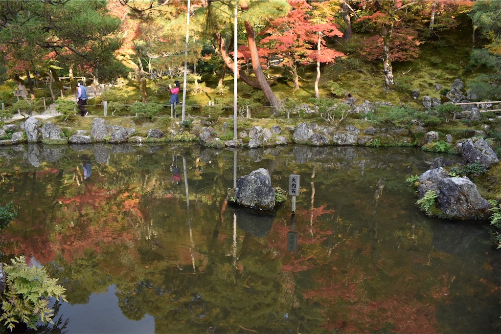 f:id:matsumotoyusuke:20210302144057j:image