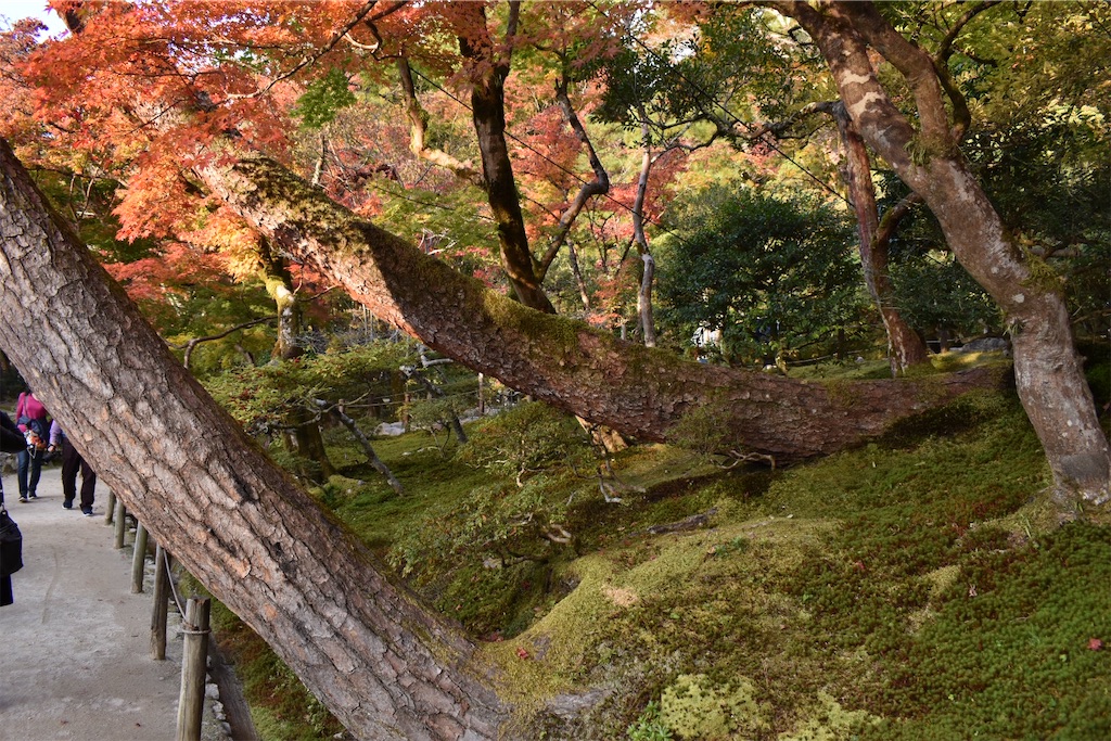 f:id:matsumotoyusuke:20210302144105j:image