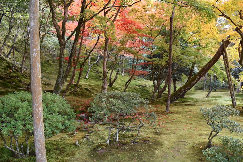 f:id:matsumotoyusuke:20210302144126j:image