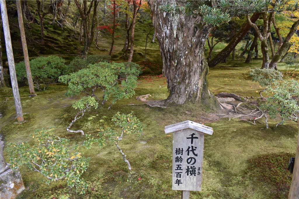f:id:matsumotoyusuke:20210302144135j:image