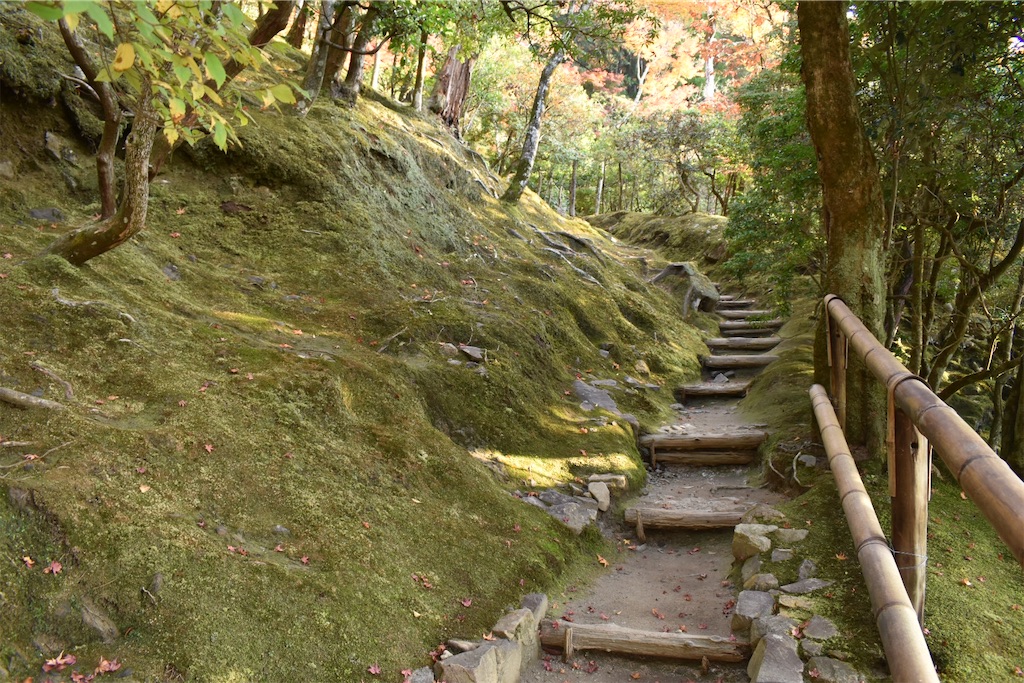 f:id:matsumotoyusuke:20210302144149j:image