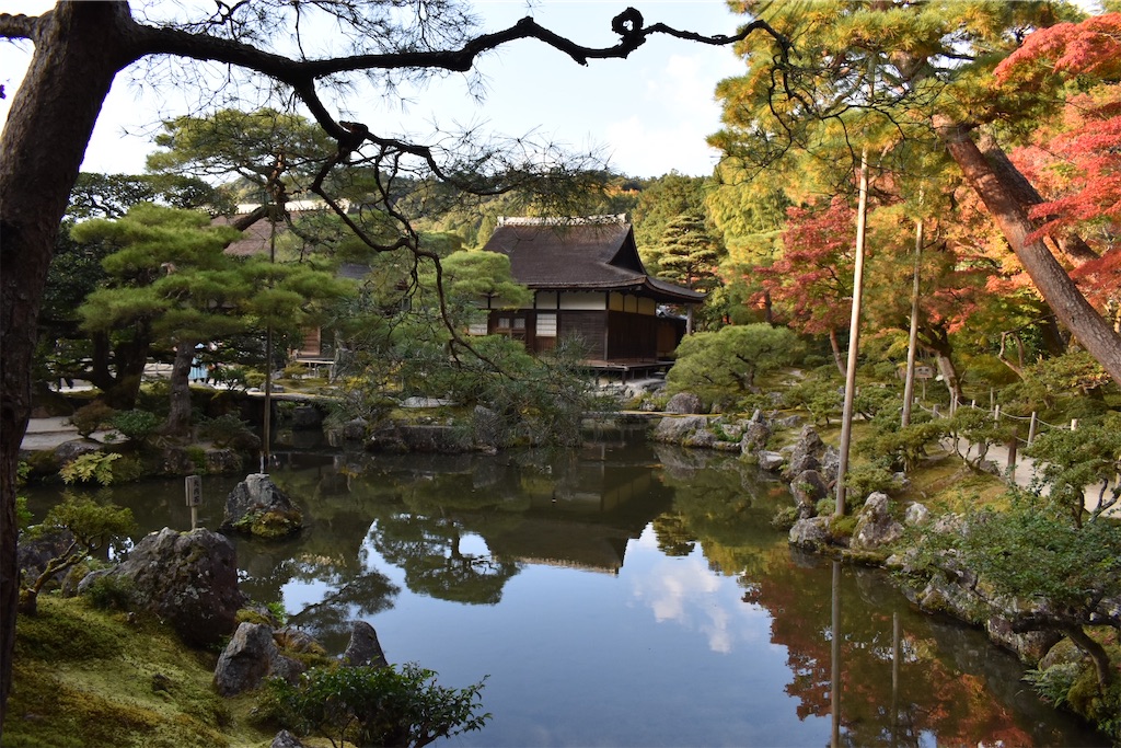 f:id:matsumotoyusuke:20210302144155j:image