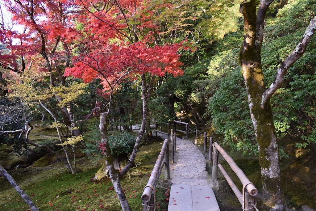 f:id:matsumotoyusuke:20210302144209j:image