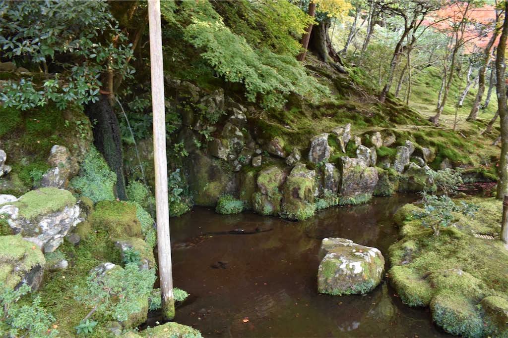 f:id:matsumotoyusuke:20210302144414j:image
