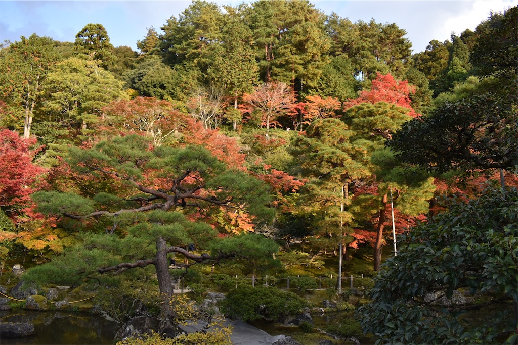 f:id:matsumotoyusuke:20210302144420j:image