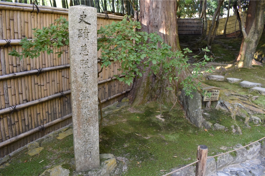 f:id:matsumotoyusuke:20210302144426j:image