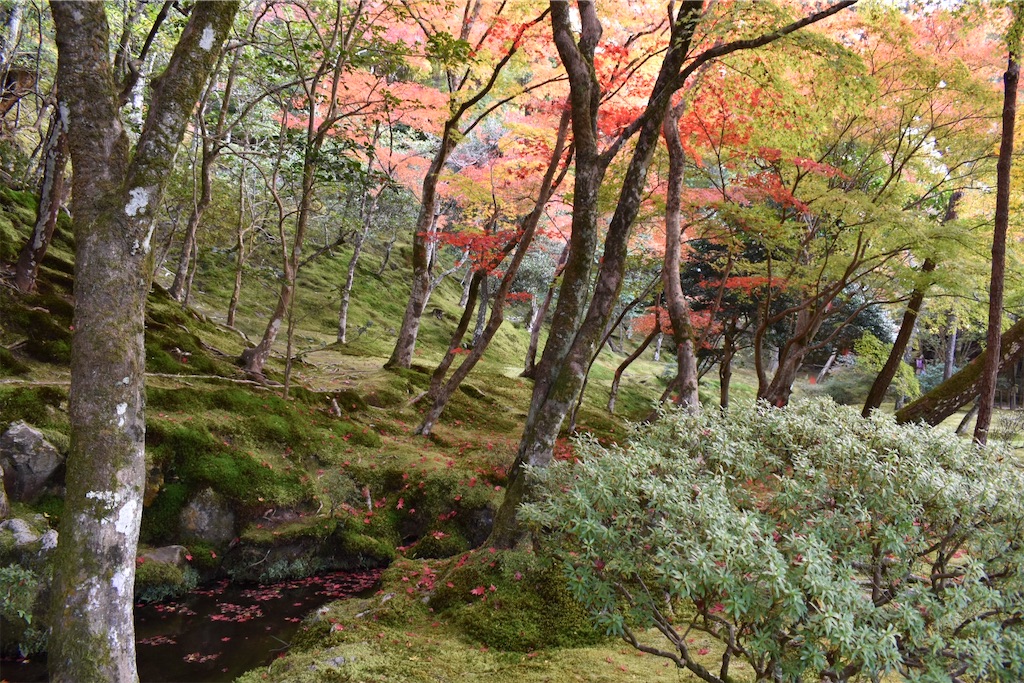 f:id:matsumotoyusuke:20210302144435j:image