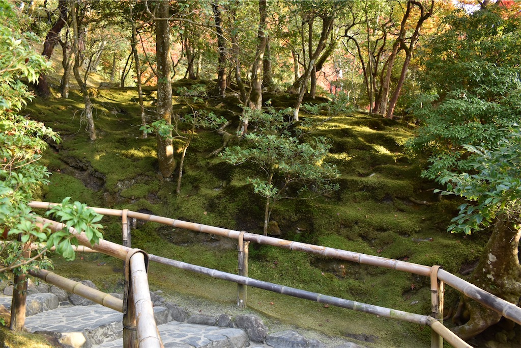 f:id:matsumotoyusuke:20210302144443j:image
