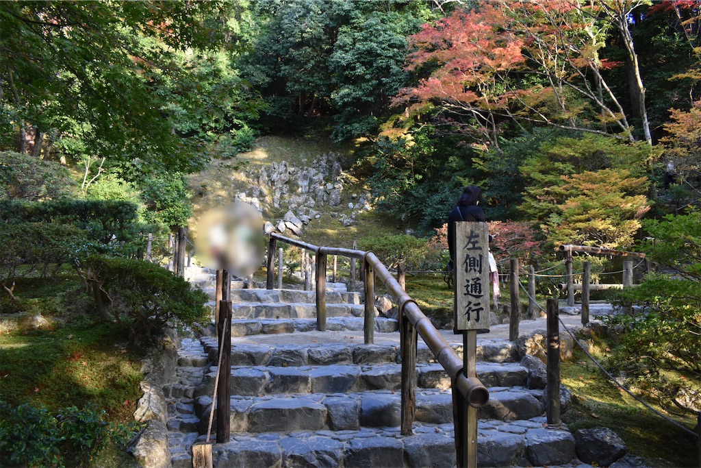 f:id:matsumotoyusuke:20210302144450j:image