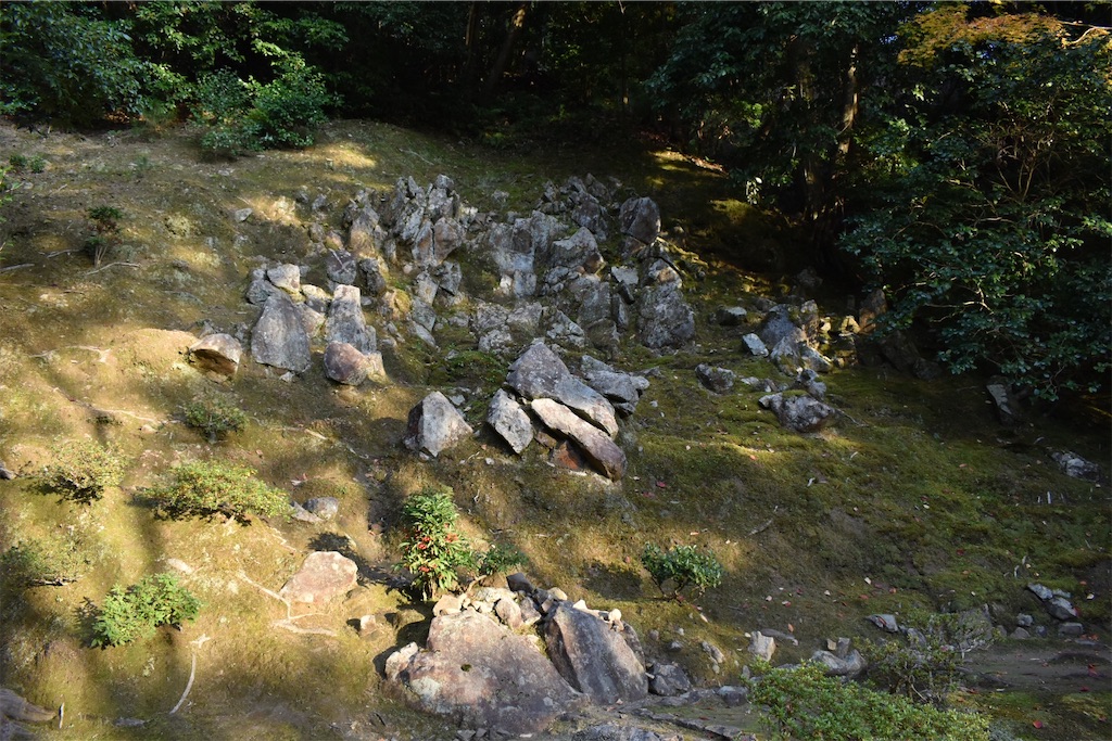 f:id:matsumotoyusuke:20210302144456j:image