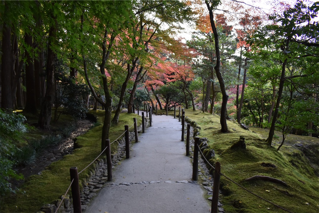 f:id:matsumotoyusuke:20210302144545j:image