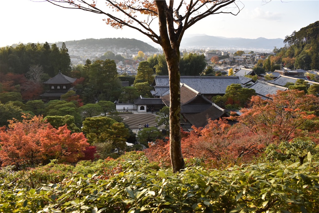 f:id:matsumotoyusuke:20210302144626j:image