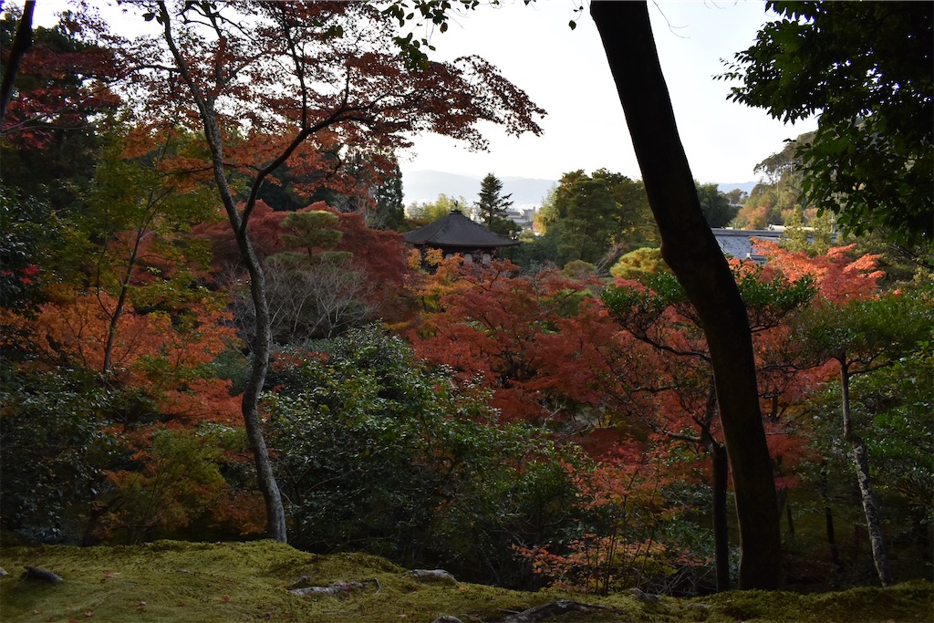 f:id:matsumotoyusuke:20210302144638j:image