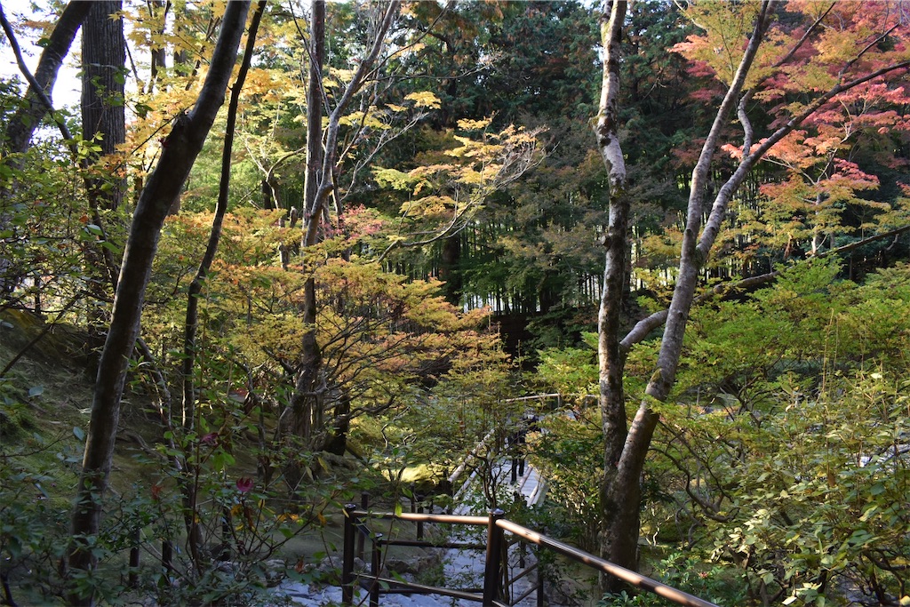 f:id:matsumotoyusuke:20210302144816j:image