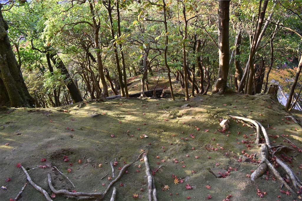 f:id:matsumotoyusuke:20210302144845j:image