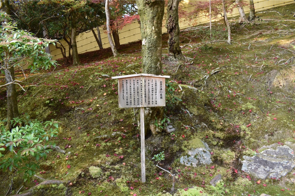 f:id:matsumotoyusuke:20210302144851j:image