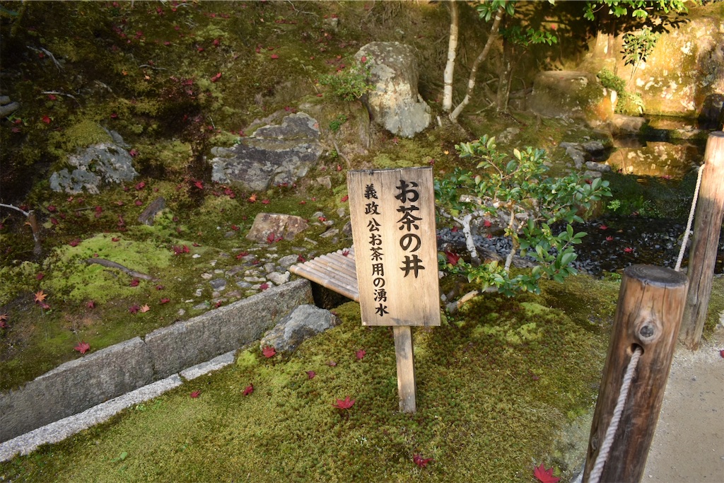 f:id:matsumotoyusuke:20210302144904j:image