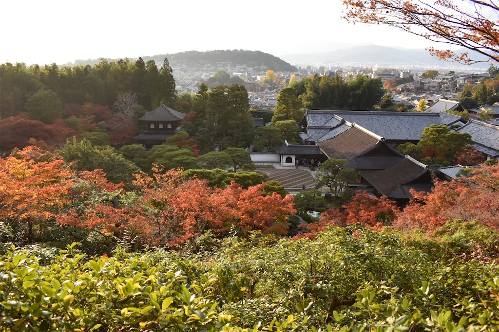 f:id:matsumotoyusuke:20210302144911j:image