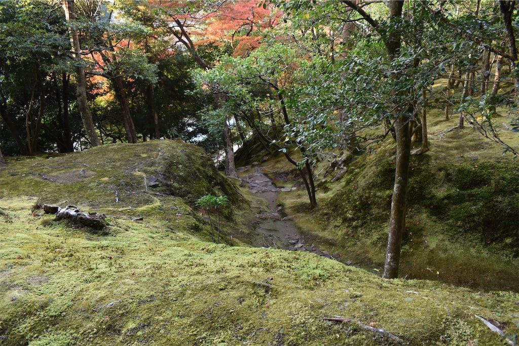 f:id:matsumotoyusuke:20210302144918j:image