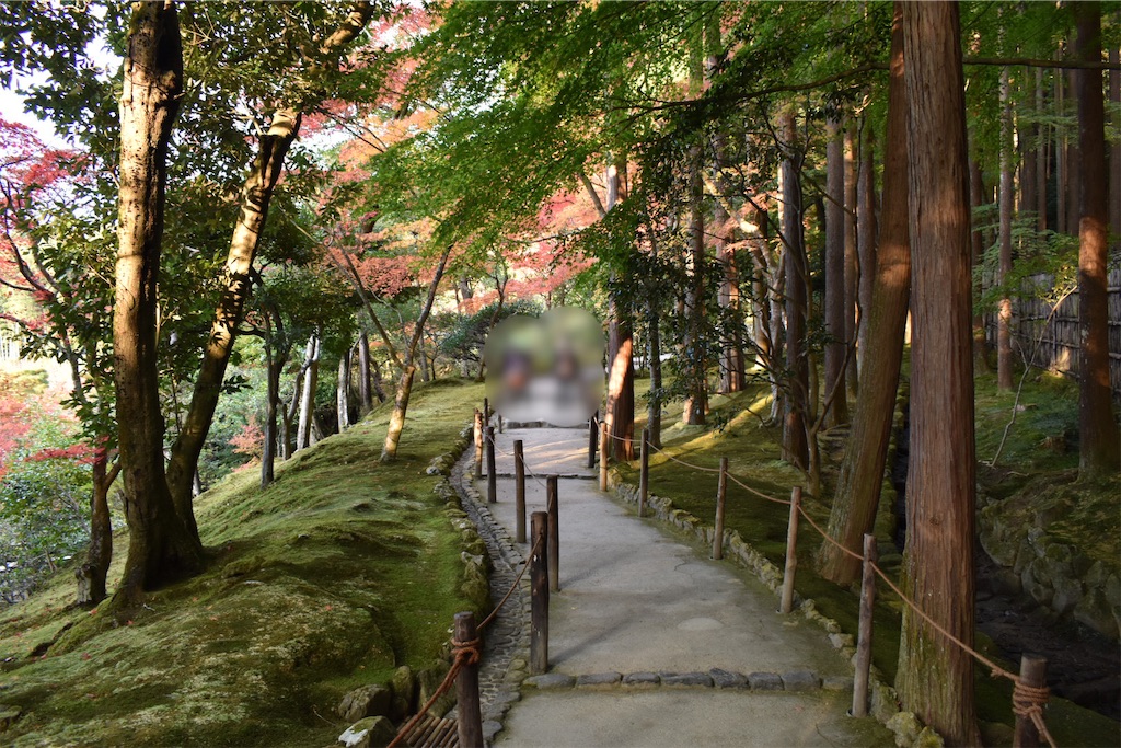 f:id:matsumotoyusuke:20210302144924j:image