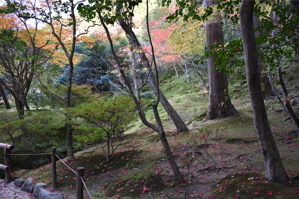 f:id:matsumotoyusuke:20210302144930j:image