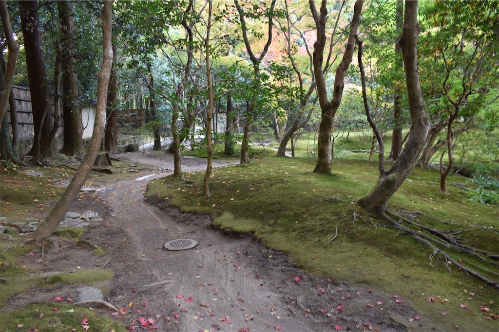 f:id:matsumotoyusuke:20210302144938j:image