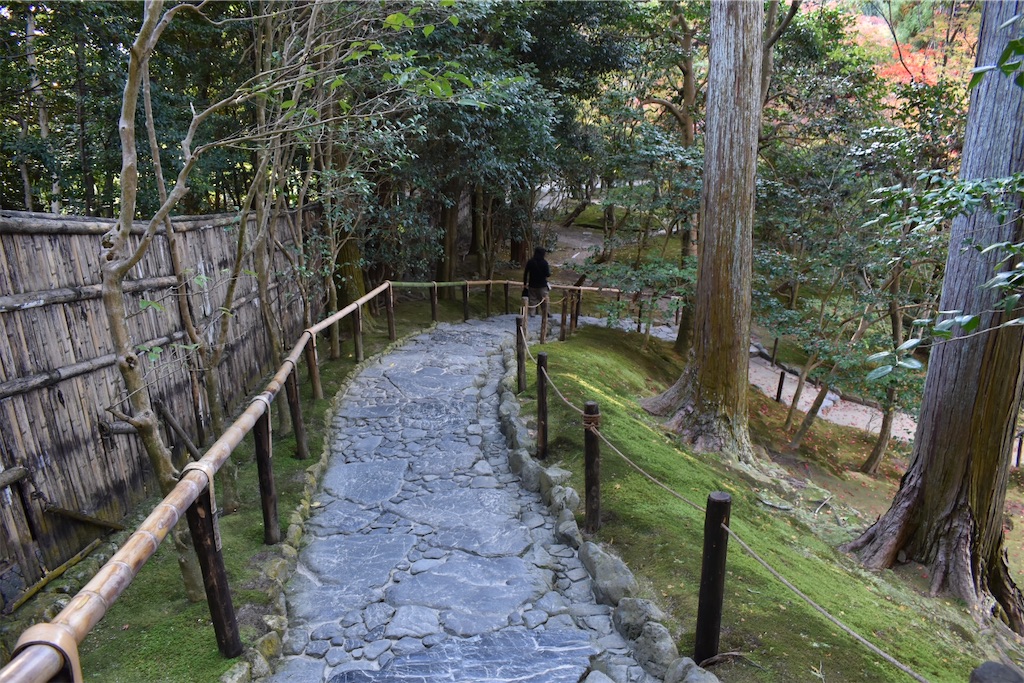 f:id:matsumotoyusuke:20210302144944j:image
