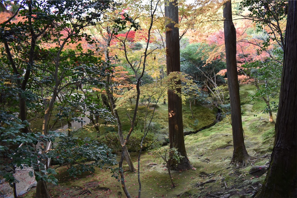 f:id:matsumotoyusuke:20210302144953j:image