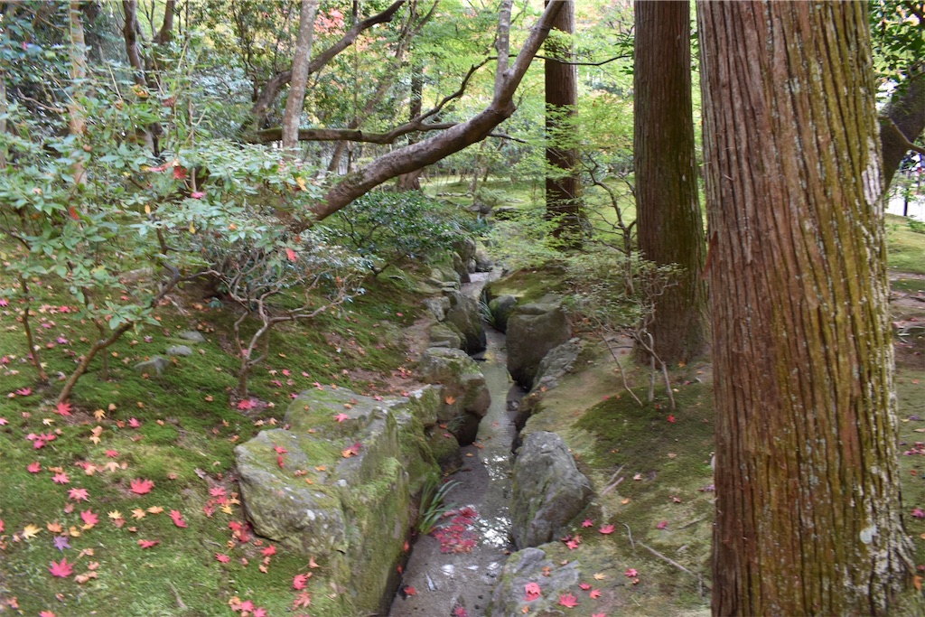 f:id:matsumotoyusuke:20210302145054j:image