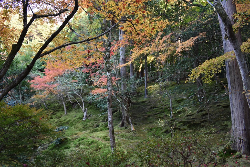 f:id:matsumotoyusuke:20210302145101j:image