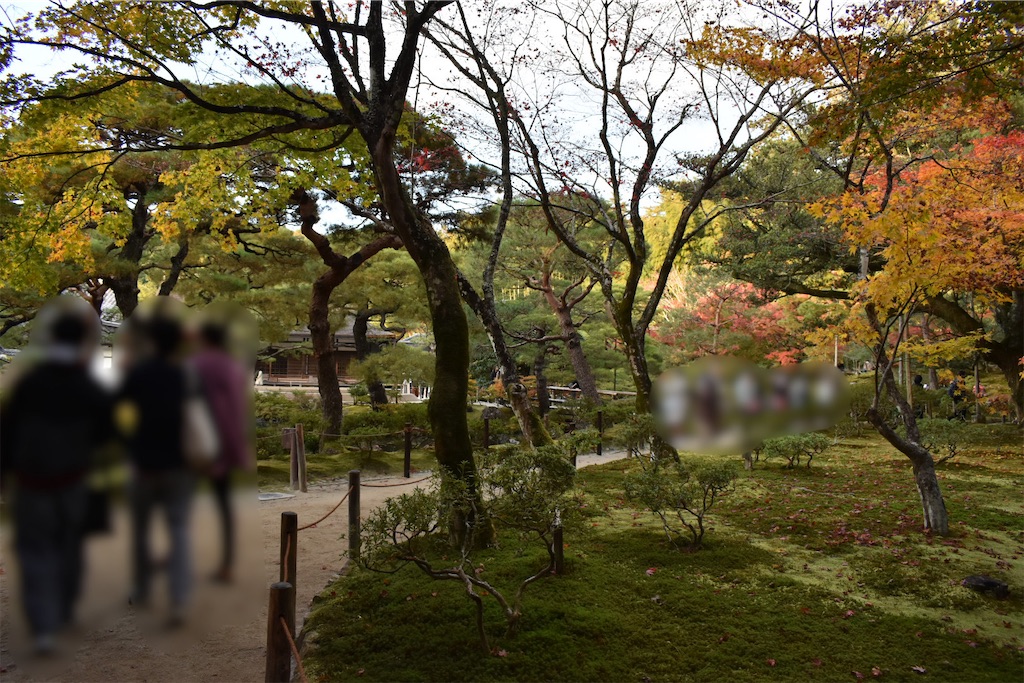 f:id:matsumotoyusuke:20210302145108j:image