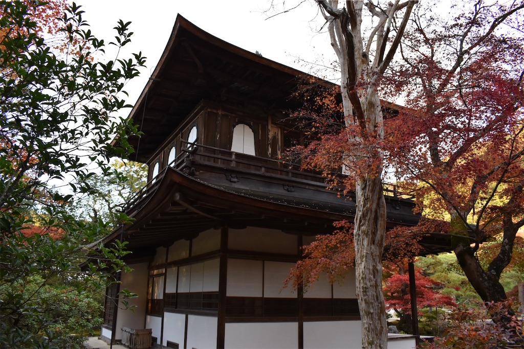 f:id:matsumotoyusuke:20210302145515j:image