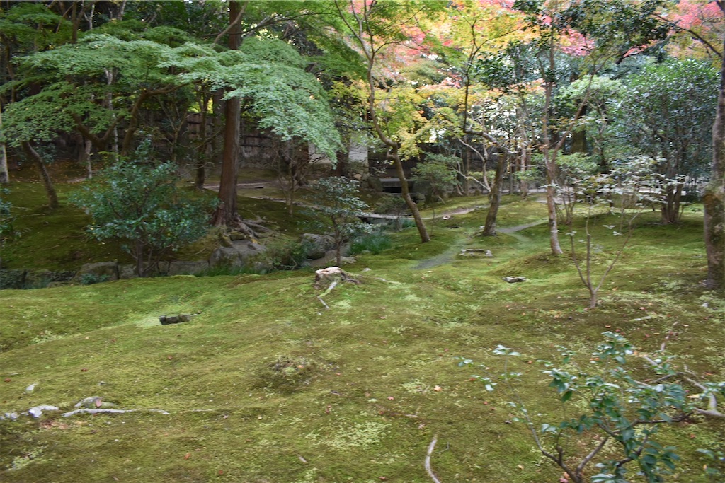 f:id:matsumotoyusuke:20210302145522j:image