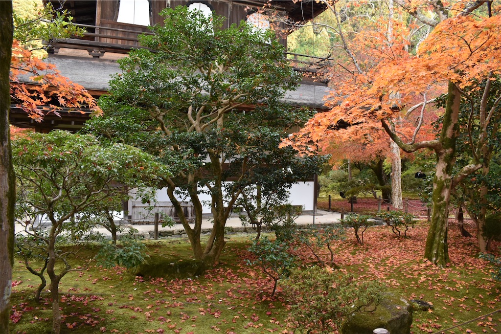 f:id:matsumotoyusuke:20210302145529j:image
