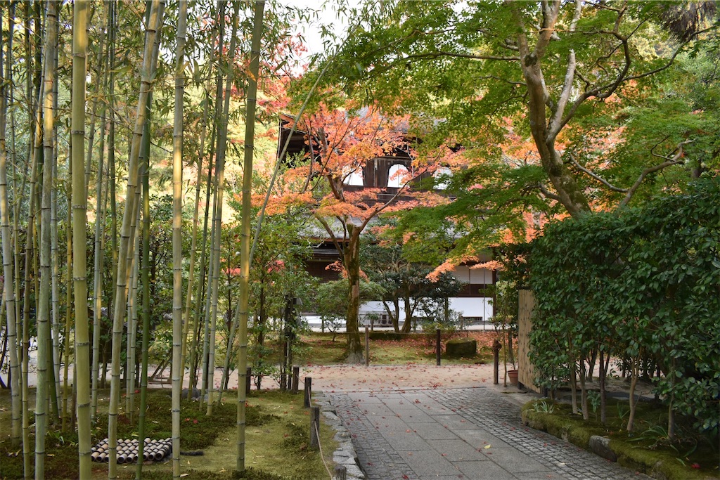 f:id:matsumotoyusuke:20210302145537j:image