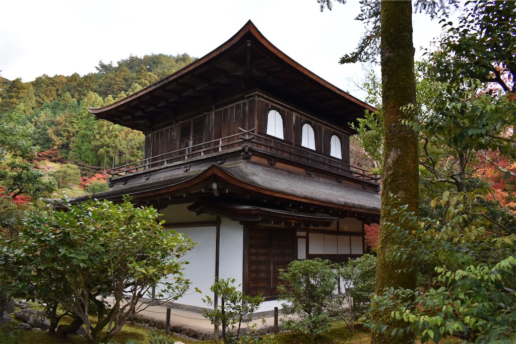 f:id:matsumotoyusuke:20210302145543j:image