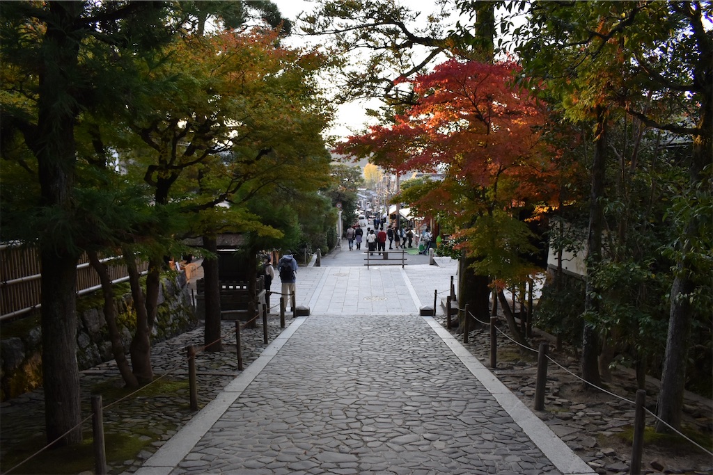 f:id:matsumotoyusuke:20210302145559j:image
