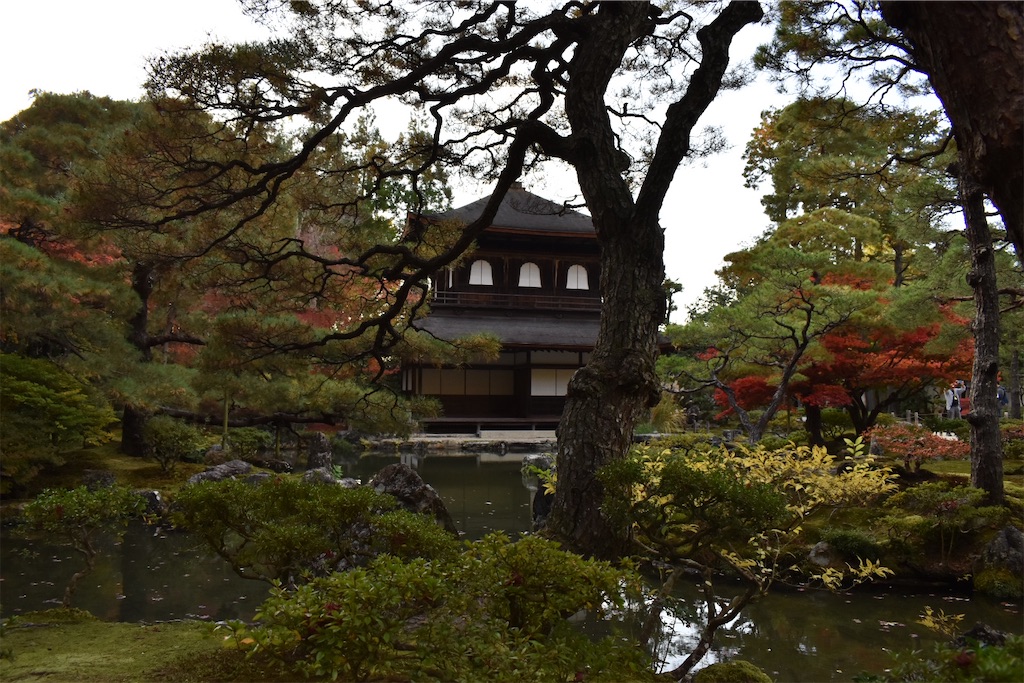 f:id:matsumotoyusuke:20210302145613j:image