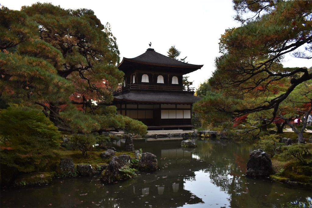 f:id:matsumotoyusuke:20210302145618j:image