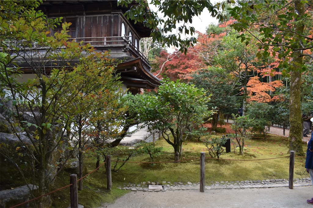 f:id:matsumotoyusuke:20210302145626j:image