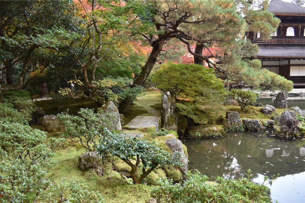 f:id:matsumotoyusuke:20210302145632j:image