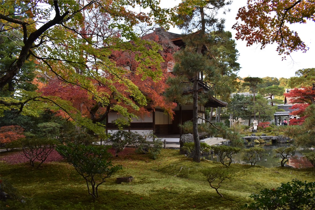 f:id:matsumotoyusuke:20210302145639j:image