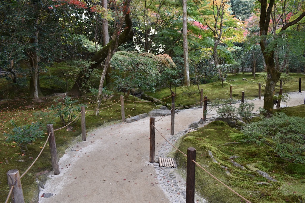 f:id:matsumotoyusuke:20210302145647j:image